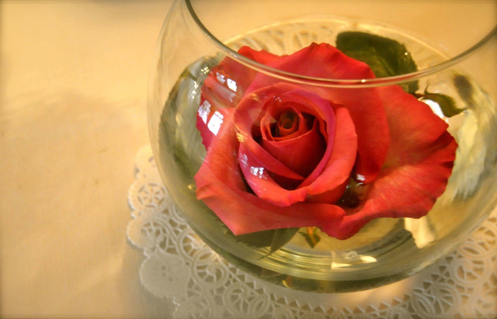 Lion And The Rose Victorian Guest House Portland Esterno foto
